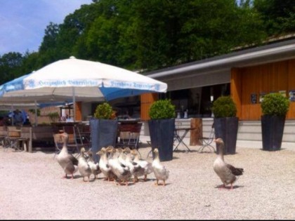 Foto: Biergarten Schutterhof